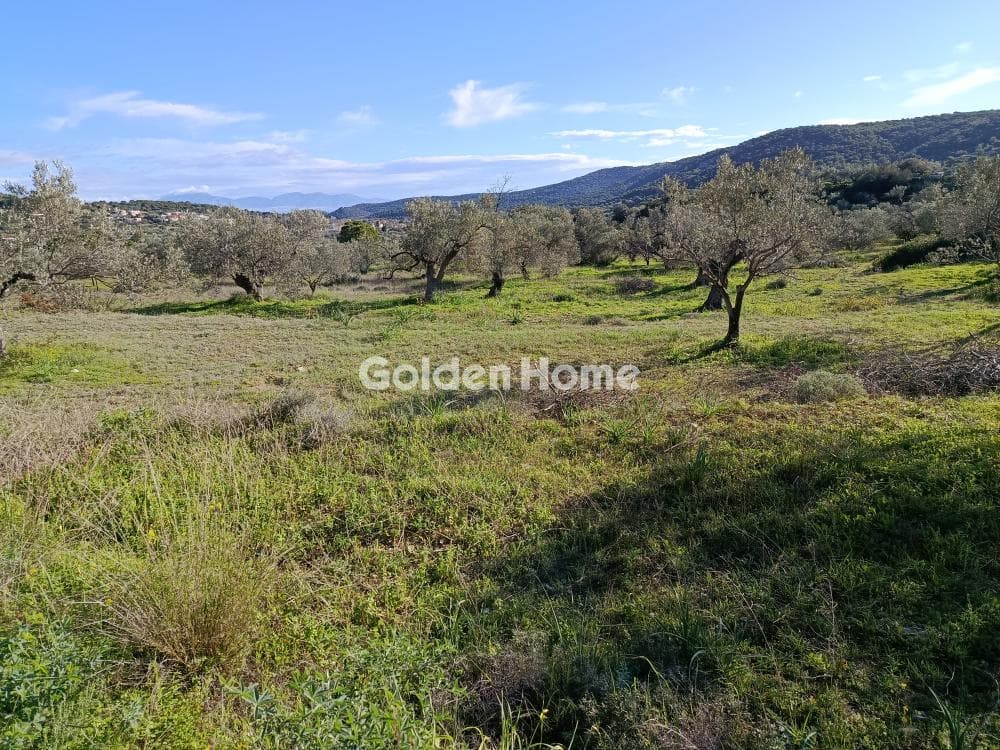 Οικόπεδο στην Μεσαγρός, Αίγινα — Φωτογραφία 3 από 3