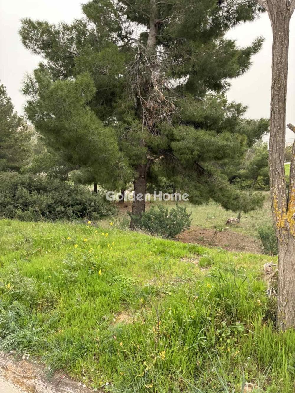 Building Plot in Ntrafi, Pikermi — Photo 9 of 9