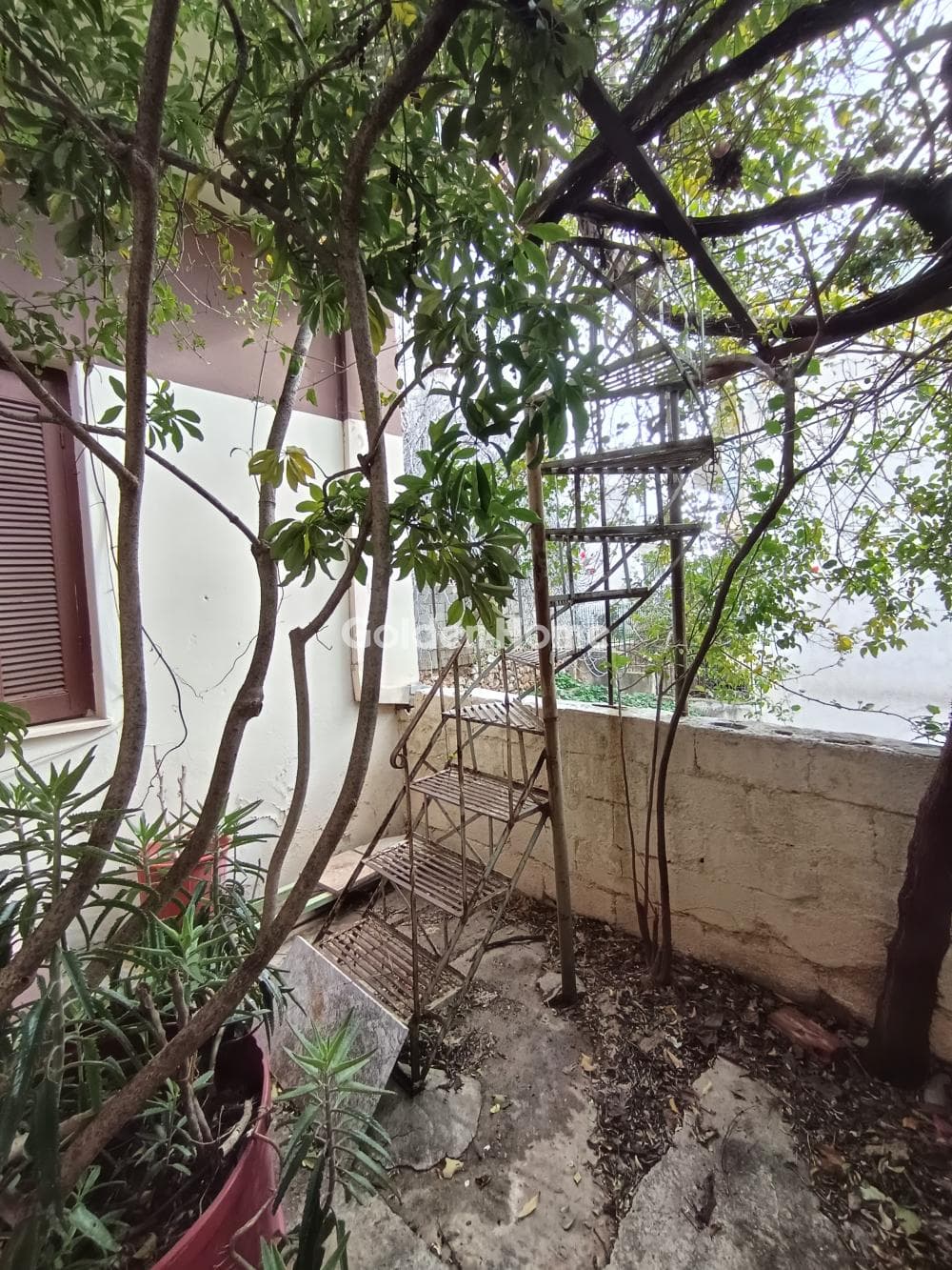 Building Plot in Schisto Korydallou, Koridallos — Photo 19 of 23