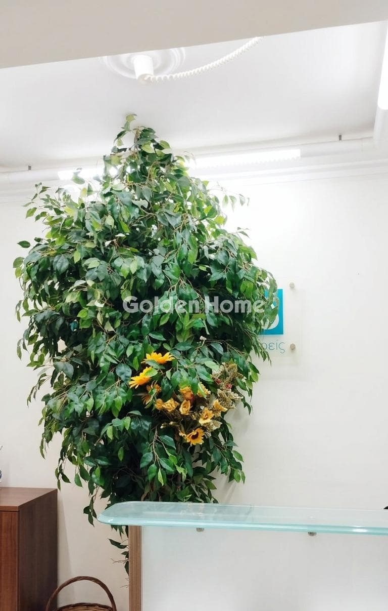 Office in Ano Nea Smyrni, Nea Smyrni — Photo 3 of 11