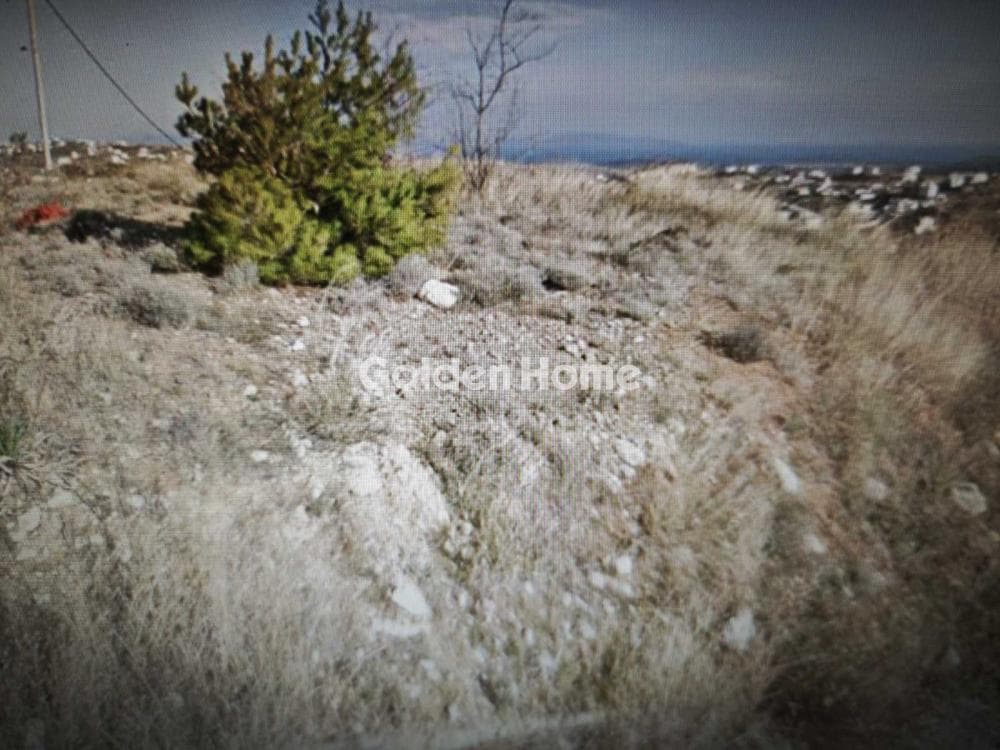 Building Plot in Ntrafi, Pikermi — Photo 1 of 2