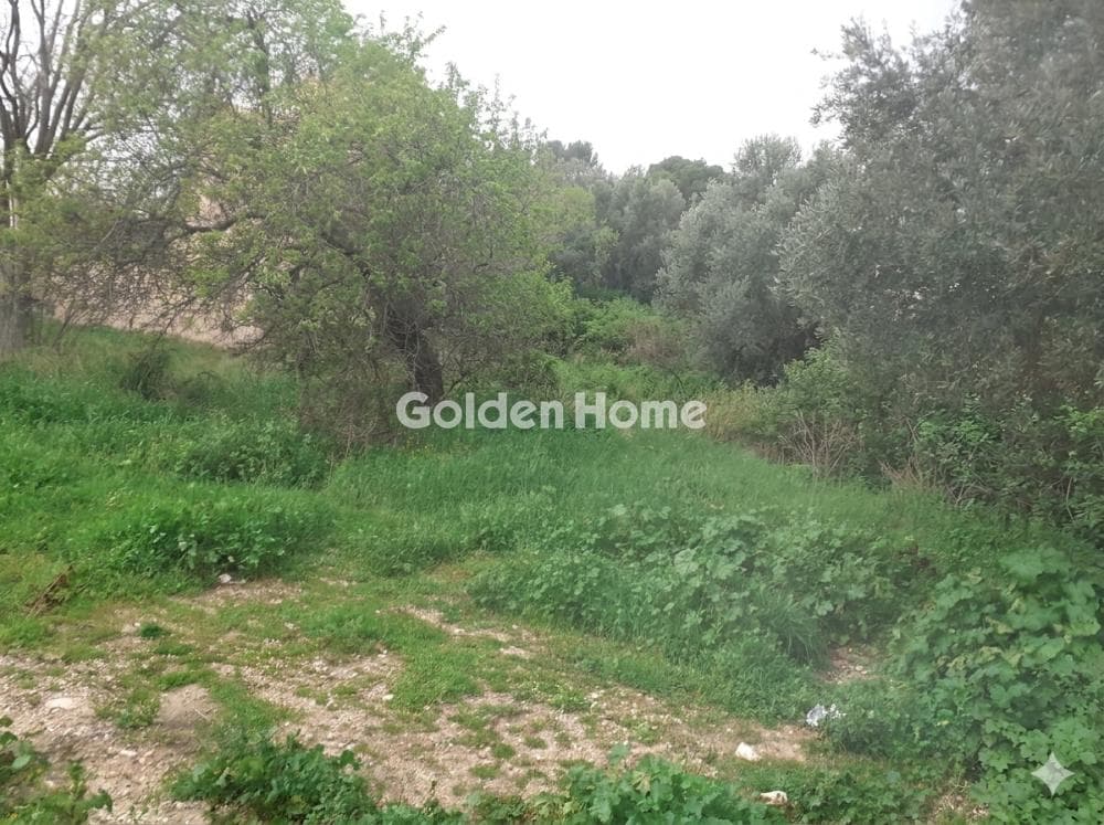 Οικόπεδο στην Νερατζιώτισσα, Μαρούσι — Φωτογραφία 3 από 4