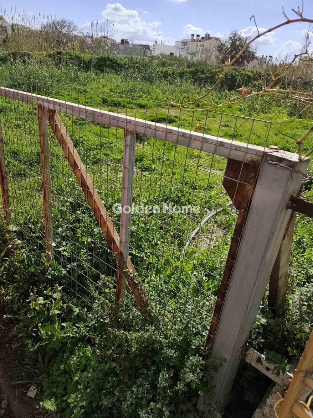 Αγροτεμάχιο στην Αγία Μαρίνα, Γοργολαϊνη — Φωτογραφία 2 από 4