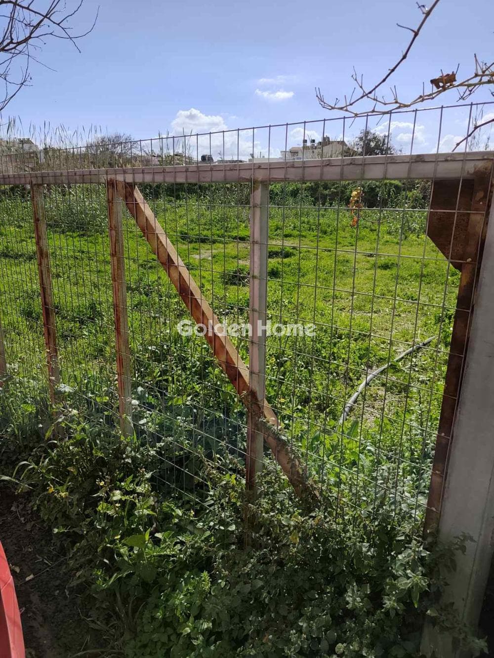 Αγροτεμάχιο στην Αγία Μαρίνα, Γοργολαϊνη — Φωτογραφία 3 από 4