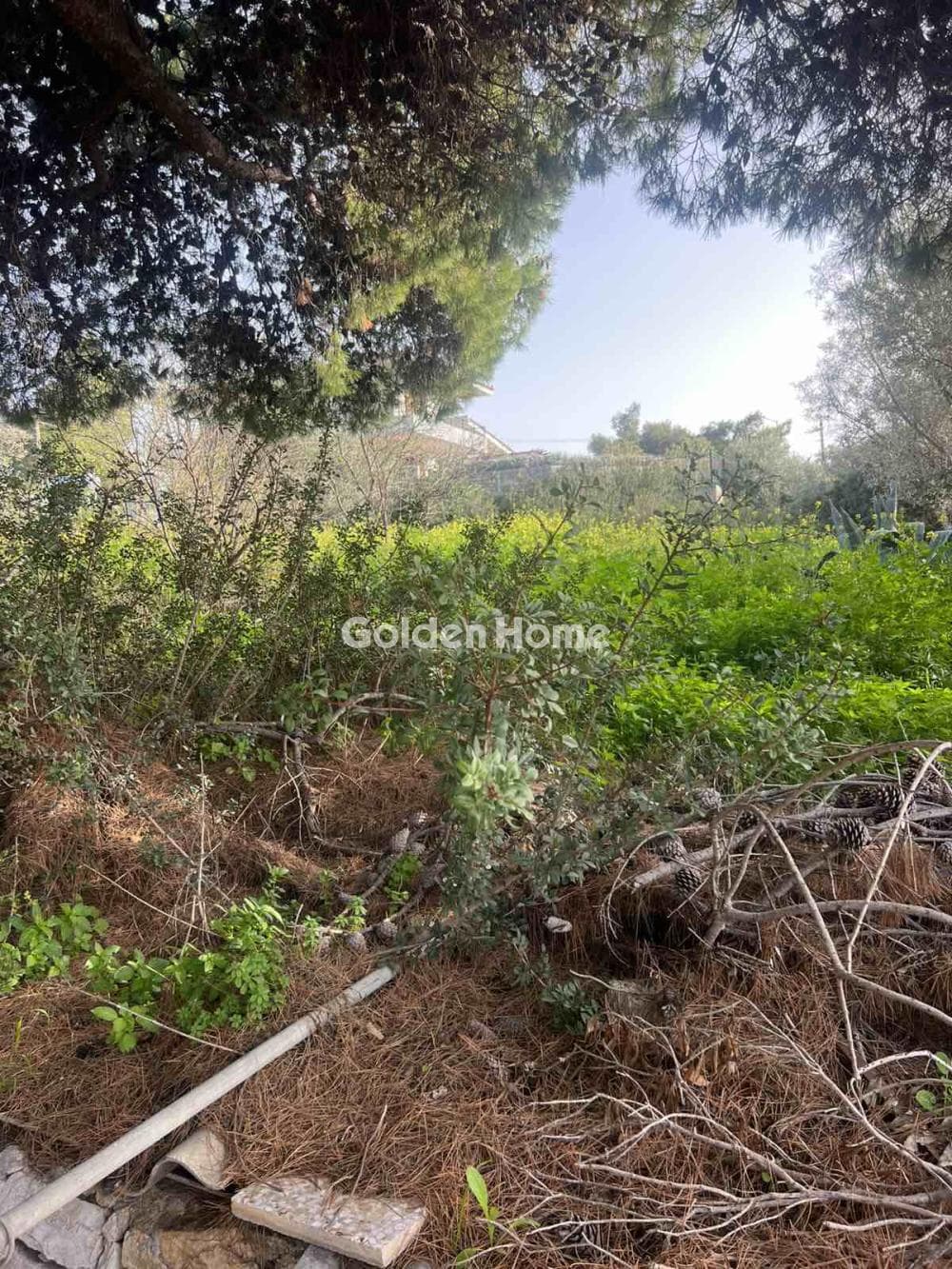 Building Plot in Kalivia, Kalivia Thorikou — Photo 1 of 2