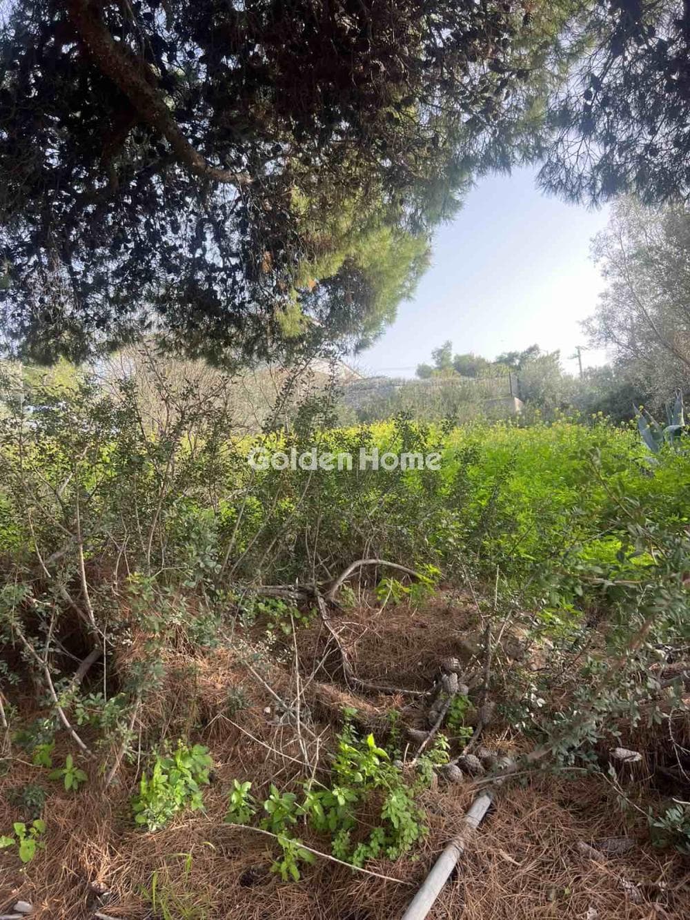Building Plot in Kalivia, Kalivia Thorikou — Photo 2 of 2
