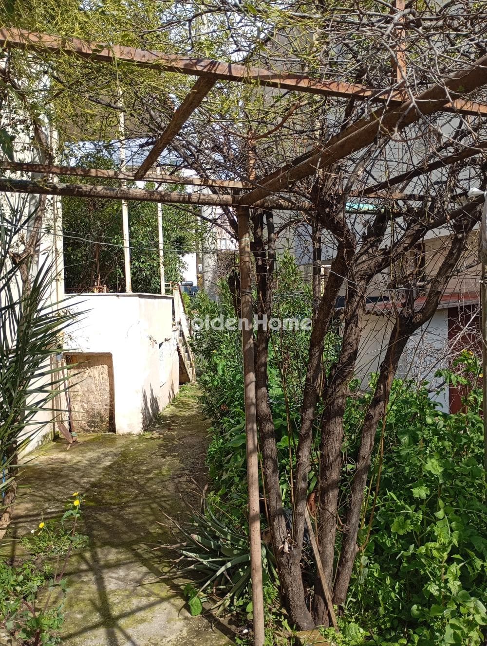 Μονοκατοικία στην Κάτω Χαλάνδρι, Χαλάνδρι — Φωτογραφία 2 από 49