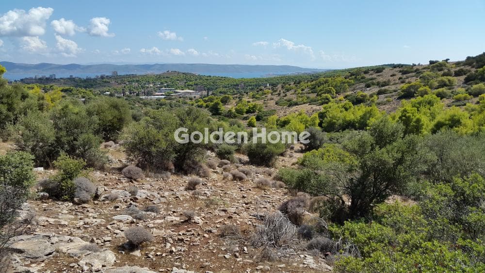 Αγροτεμάχιο στην Άνω Θορικό, Λαύριο — Φωτογραφία 1 από 9