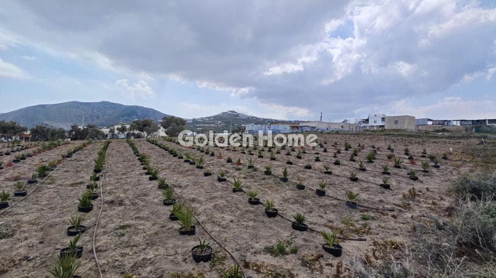 Building Plot in Thira, Santorini — Photo 6 of 6