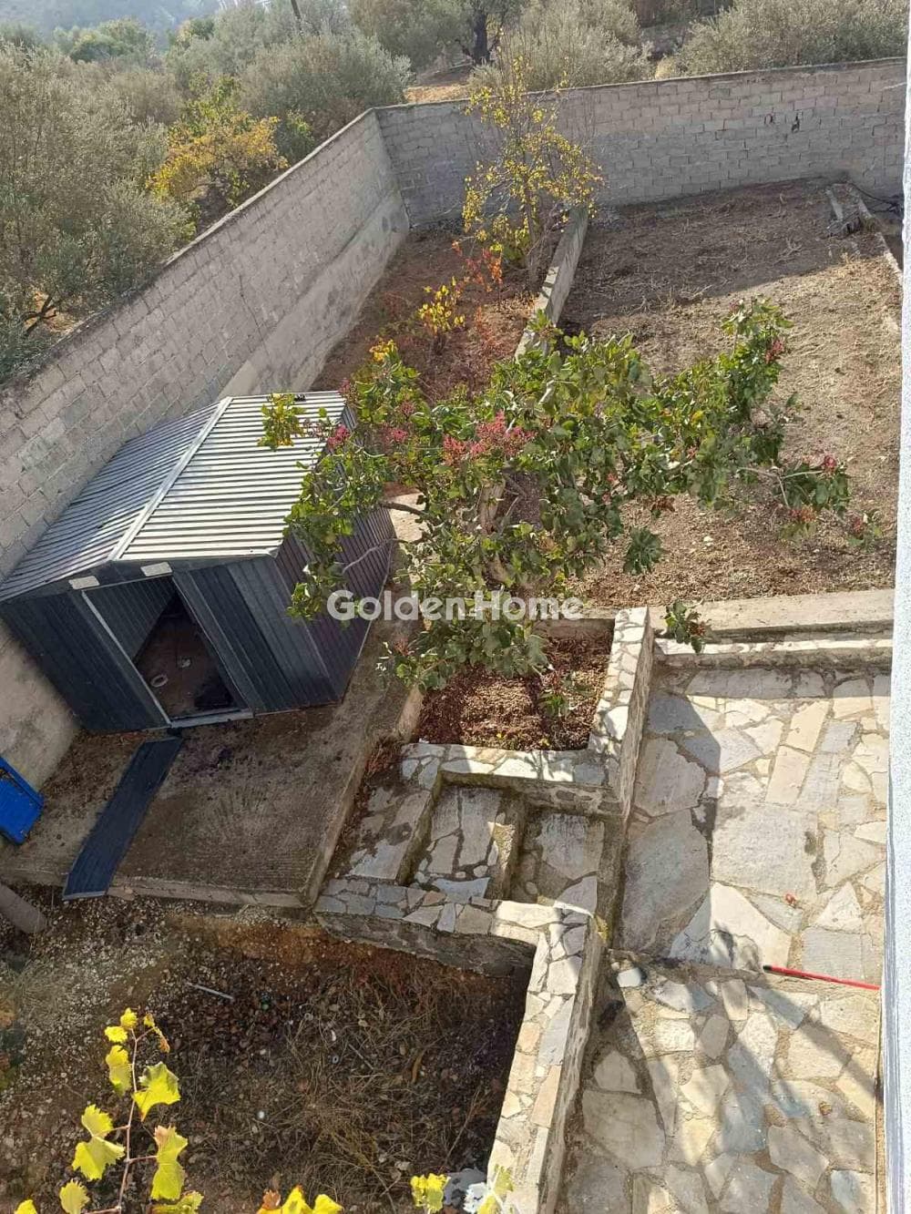 Μονοκατοικία στην Κοντός, Αίγινα — Φωτογραφία 10 από 13