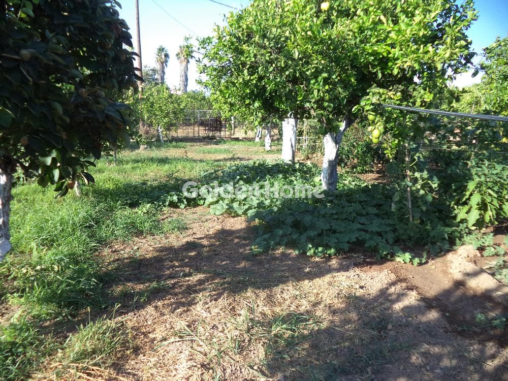 Μονοκατοικία στην Λόγγος, Ερίνεο — Φωτογραφία 14 από 29