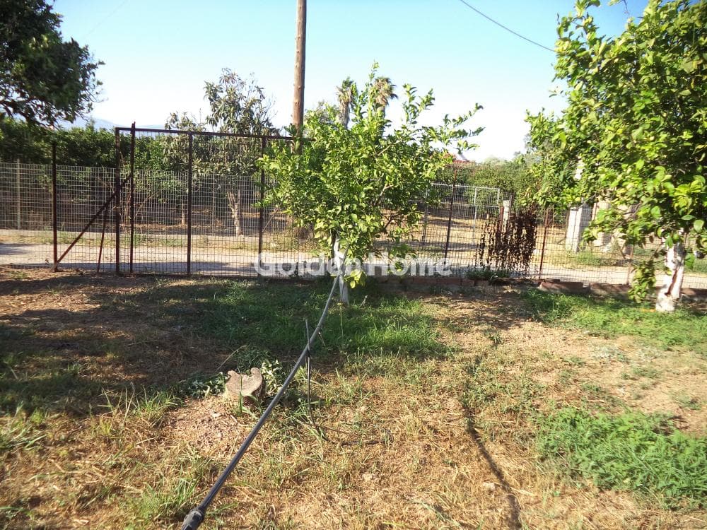 Μονοκατοικία στην Λόγγος, Ερίνεο — Φωτογραφία 17 από 29