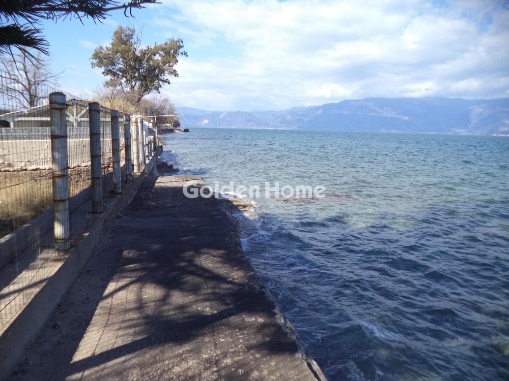 Μονοκατοικία στην Λόγγος, Ερίνεο — Φωτογραφία 4 από 29