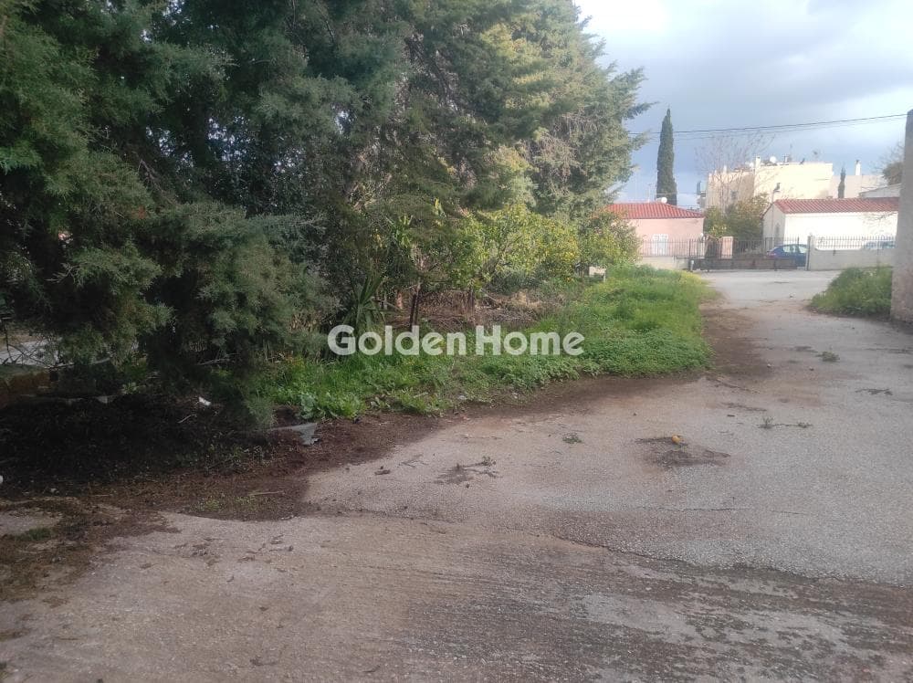 Building Plot in Center, Keratea — Photo 11 of 16