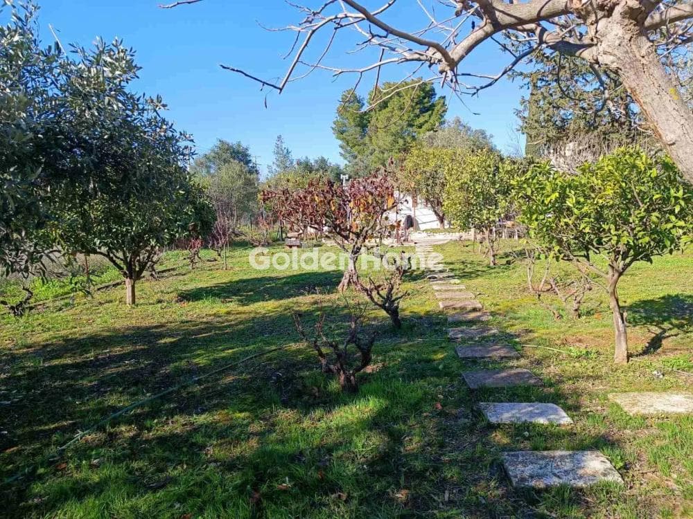 Οικόπεδο στην Άνω Μπαλάνα, Παλλήνη — Φωτογραφία 1 από 3