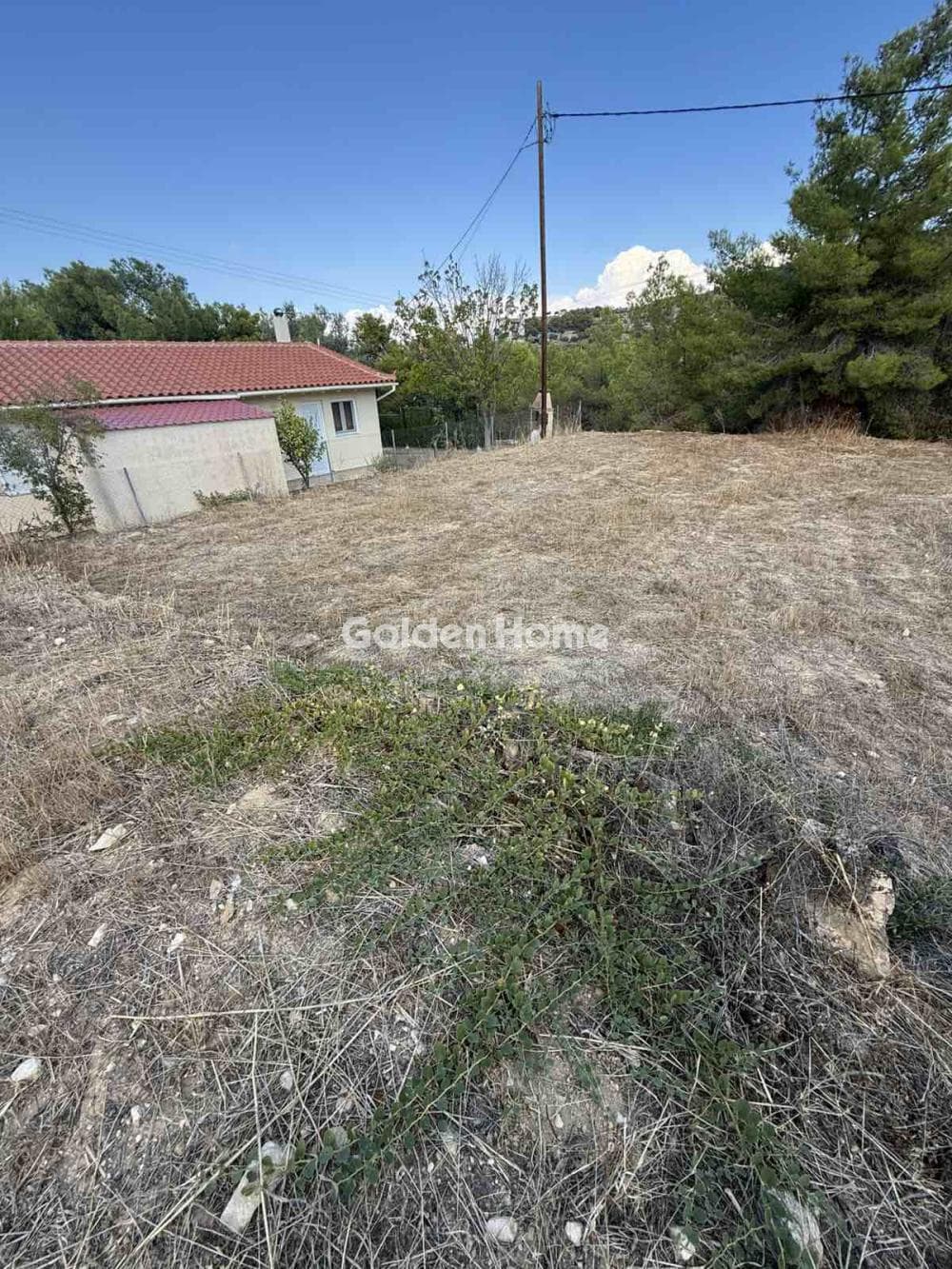Οικόπεδο στην Μεσαγρός, Αίγινα — Φωτογραφία 1 από 3