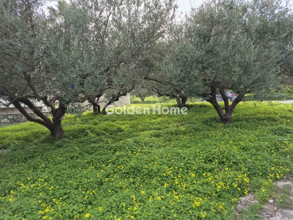 Building Plot in Poros, Heraclion Cretes — Photo 8 of 8