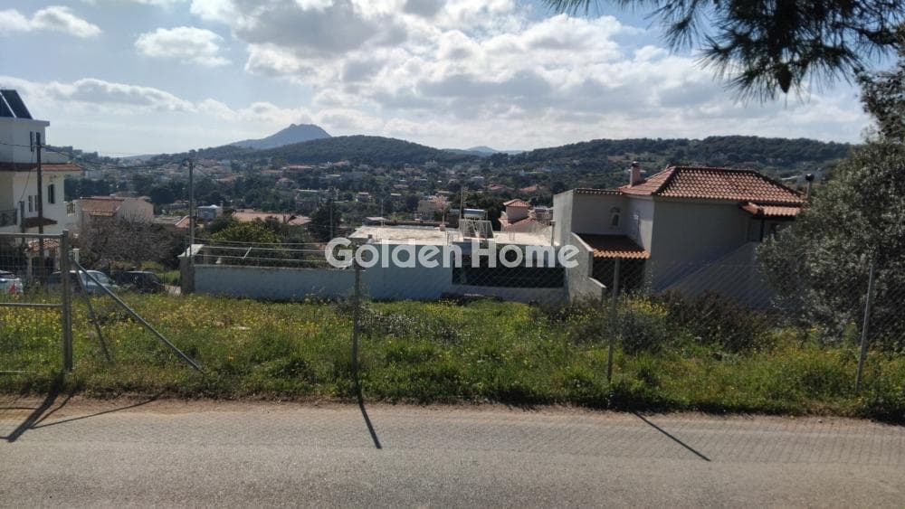 Οικόπεδο στην Βορινέζα, Αρτέμιδα (Λούτσα)