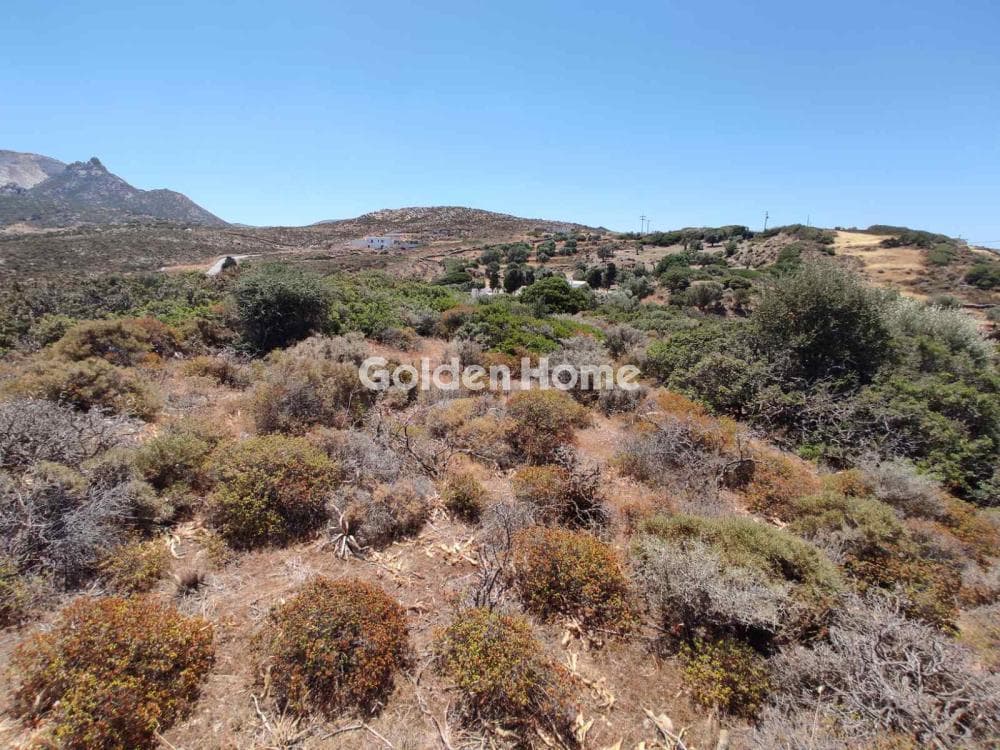 Parcel in Kourounochori, Naxos — Photo 2 of 9