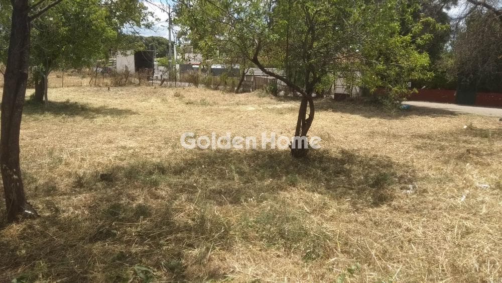 Building Plot in Adames Oikismos Grammos - Foinikas, Kifisia — Photo 2 of 6