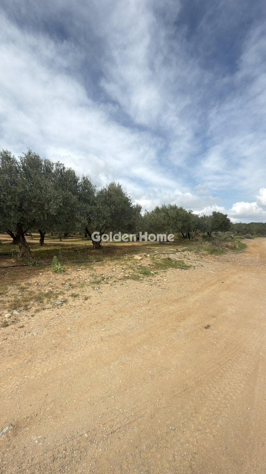Building Plot in Kastelli, Kastelli — Photo 6 of 26