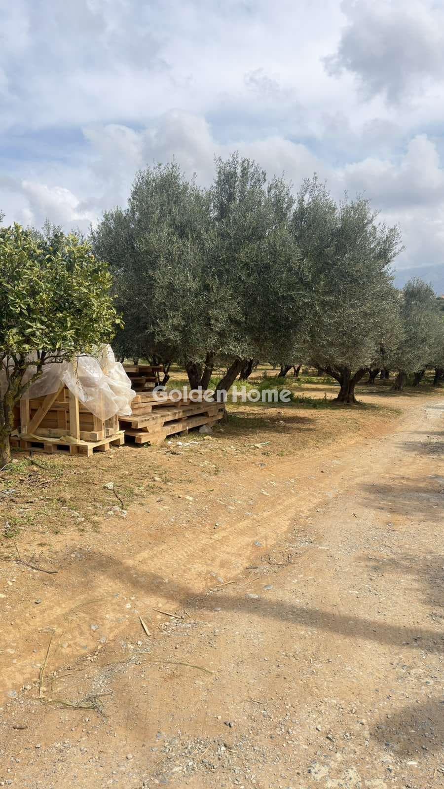 Building Plot in Kastelli, Kastelli — Photo 12 of 26