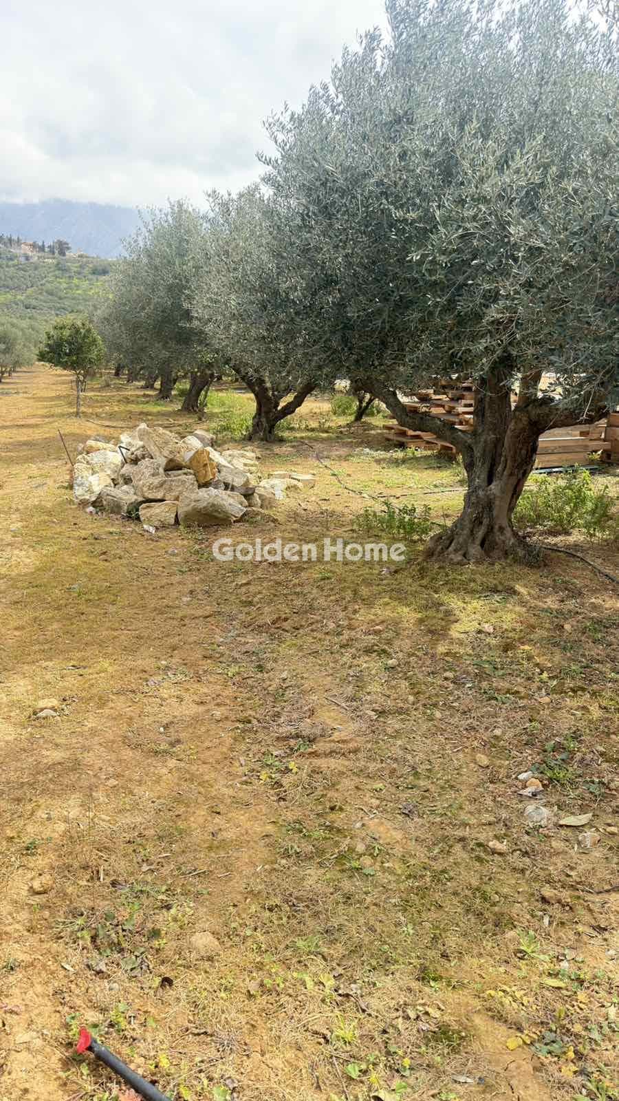 Building Plot in Kastelli, Kastelli — Photo 10 of 26