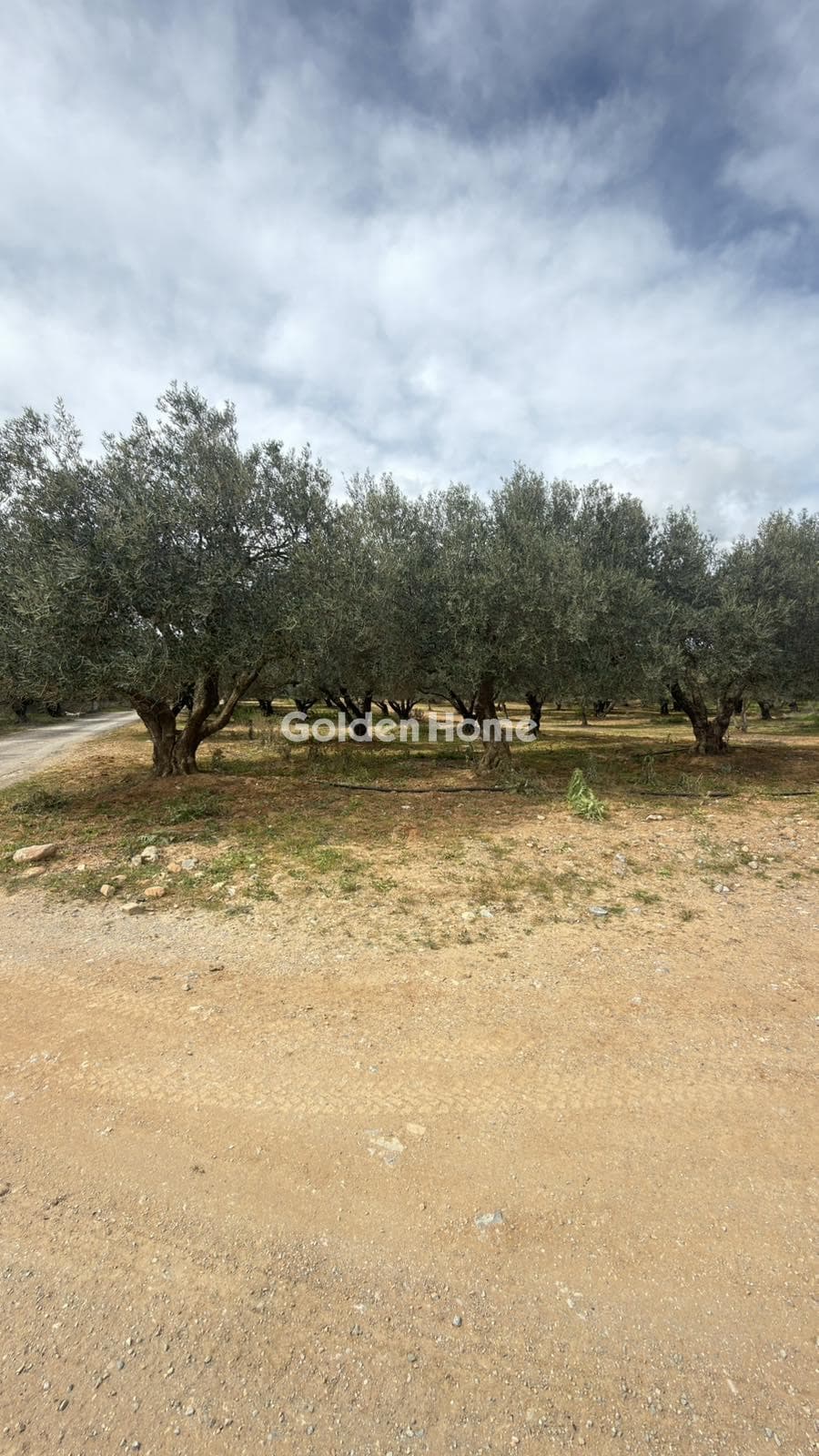 Building Plot in Kastelli, Kastelli — Photo 9 of 26