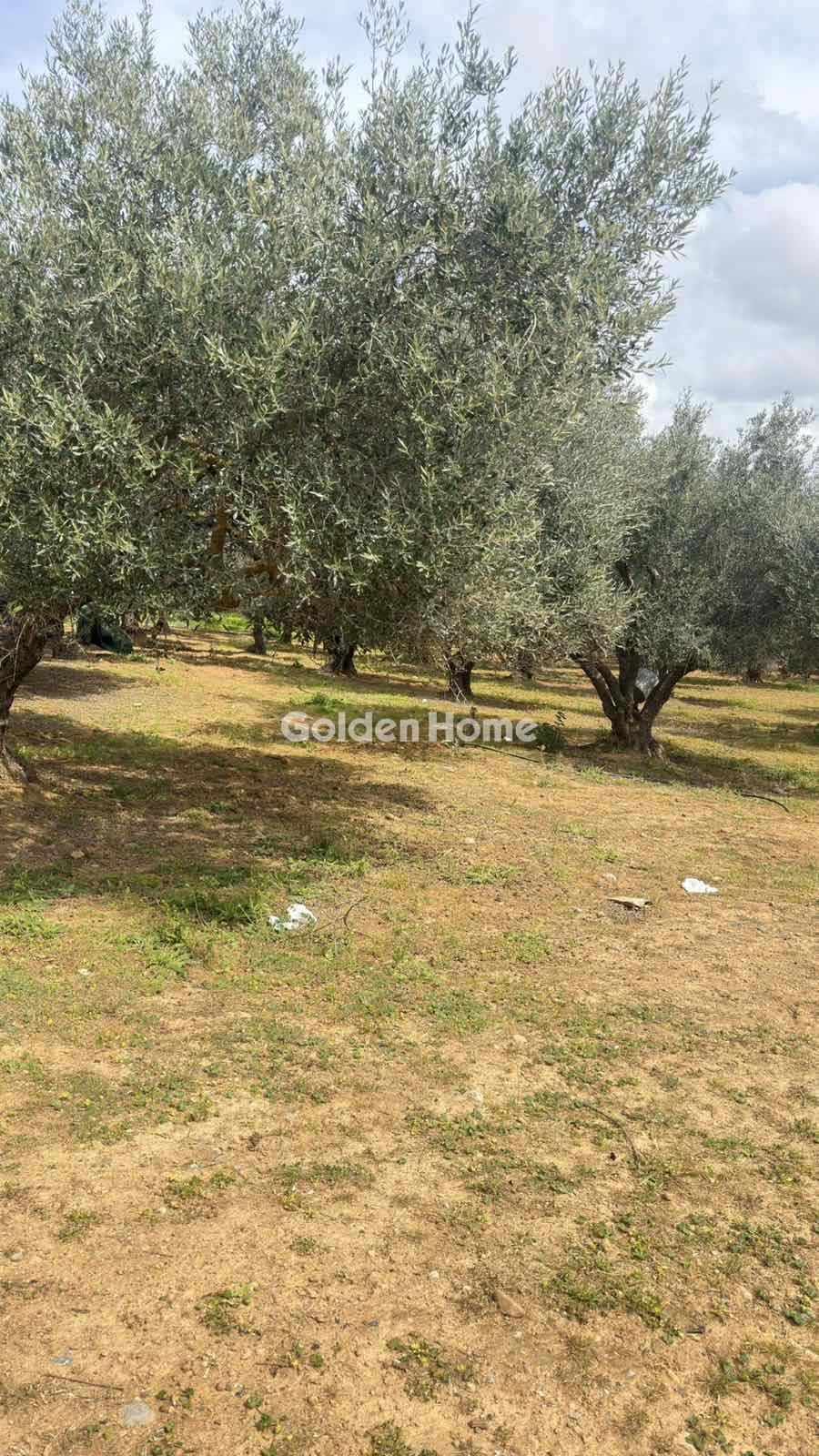 Building Plot in Kastelli, Kastelli — Photo 8 of 26