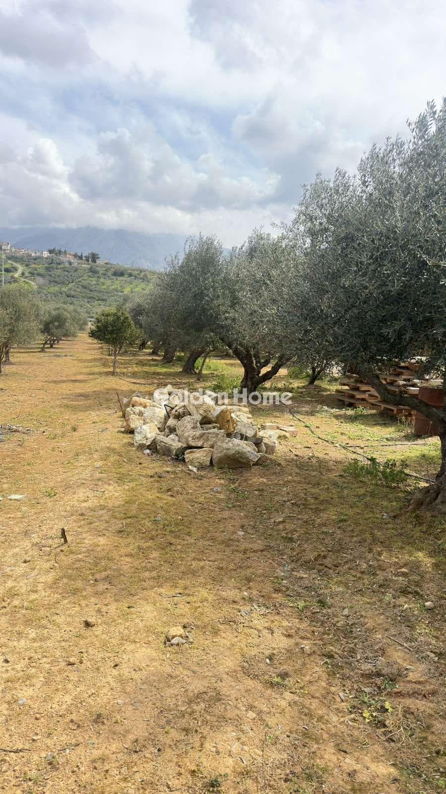 Building Plot in Kastelli, Kastelli — Photo 7 of 26