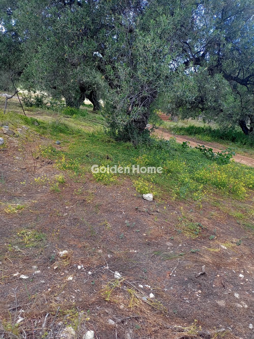 Αγροτεμάχιο στην Κόκκινος Πύργος, Τυμπάκι — Φωτογραφία 1 από 2