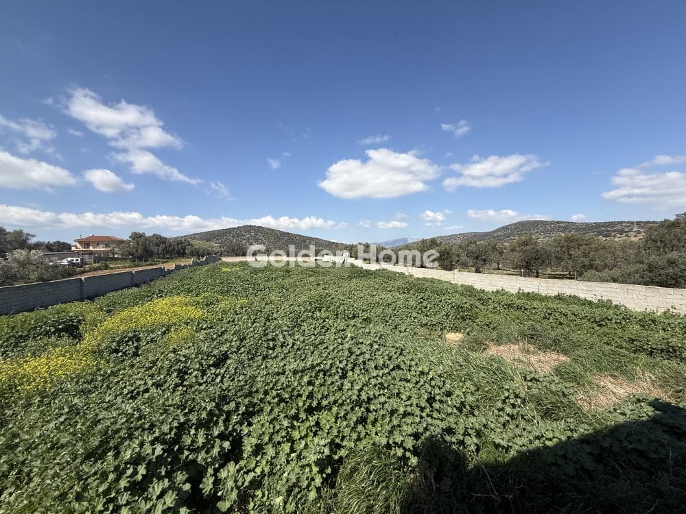 Μονοκατοικία στην Κεφλαίικα, Καλύβια Θορικού — Φωτογραφία 25 από 33