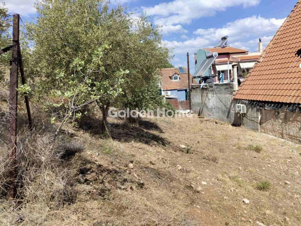 Οικόπεδο στην Ζοφριά, Άνω Λιόσια — Φωτογραφία 2 από 2