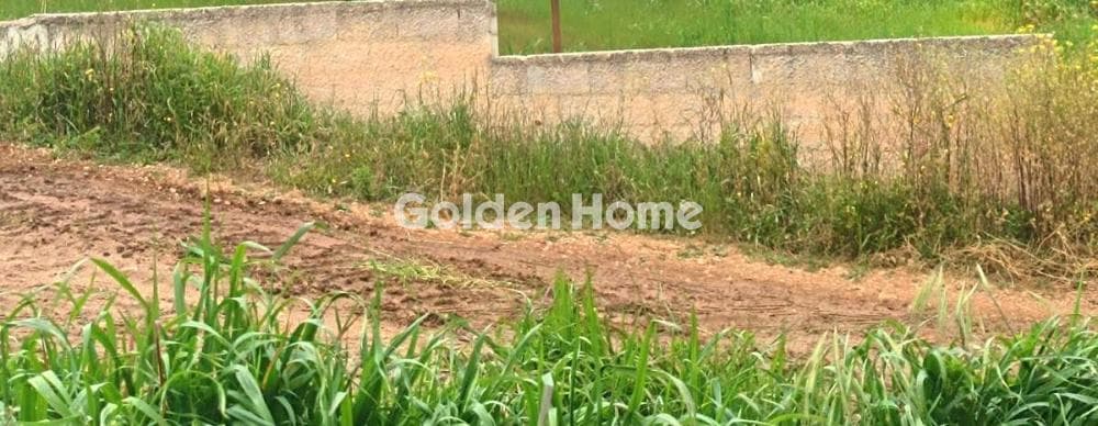 Building Plot in Limni Markopoulou, Markopoulo — Photo 1 of 2