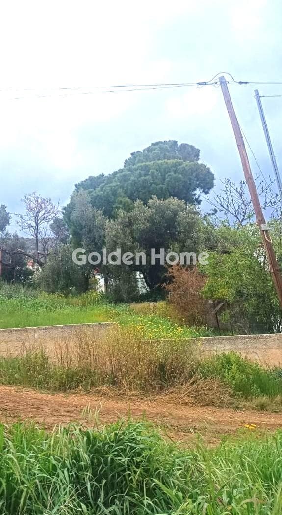 Building Plot in Limni Markopoulou, Markopoulo — Photo 2 of 2