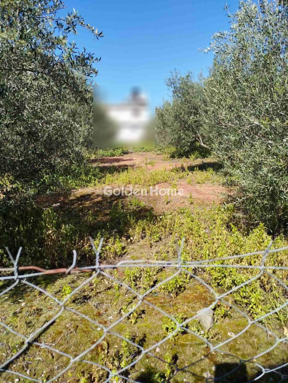 Building Plot in Kappariana, Moires — Photo 3 of 3