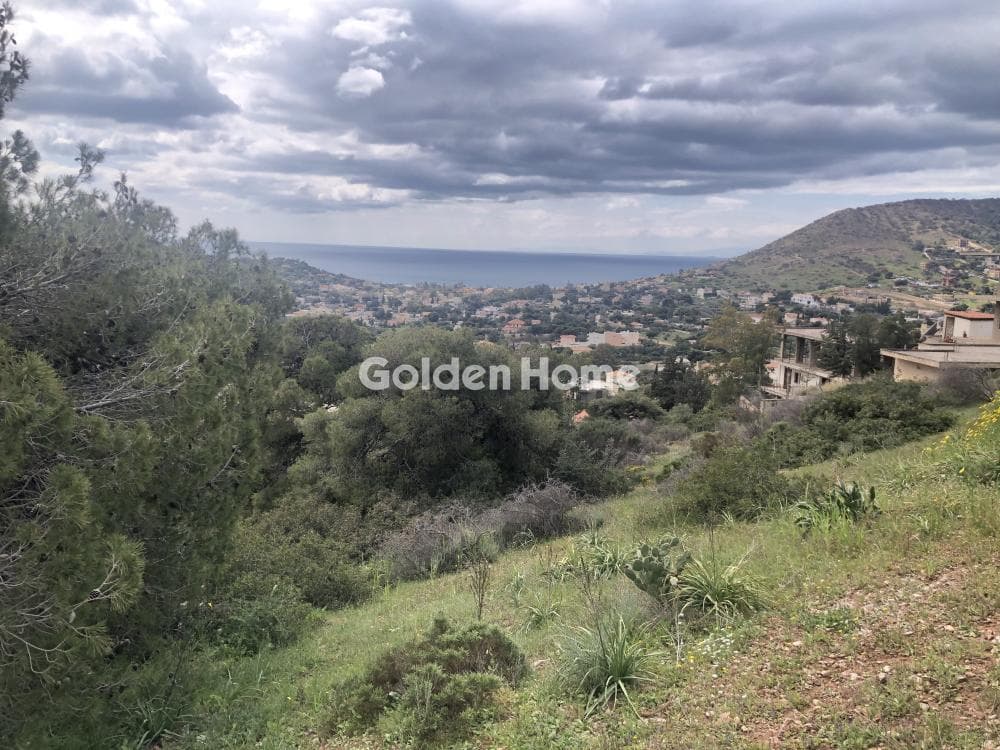 Building Plot in Agia Marina, Koropi — Photo 5 of 8