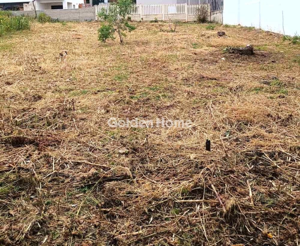 Building Plot in Kakia Thalassa, Keratea — Photo 3 of 4