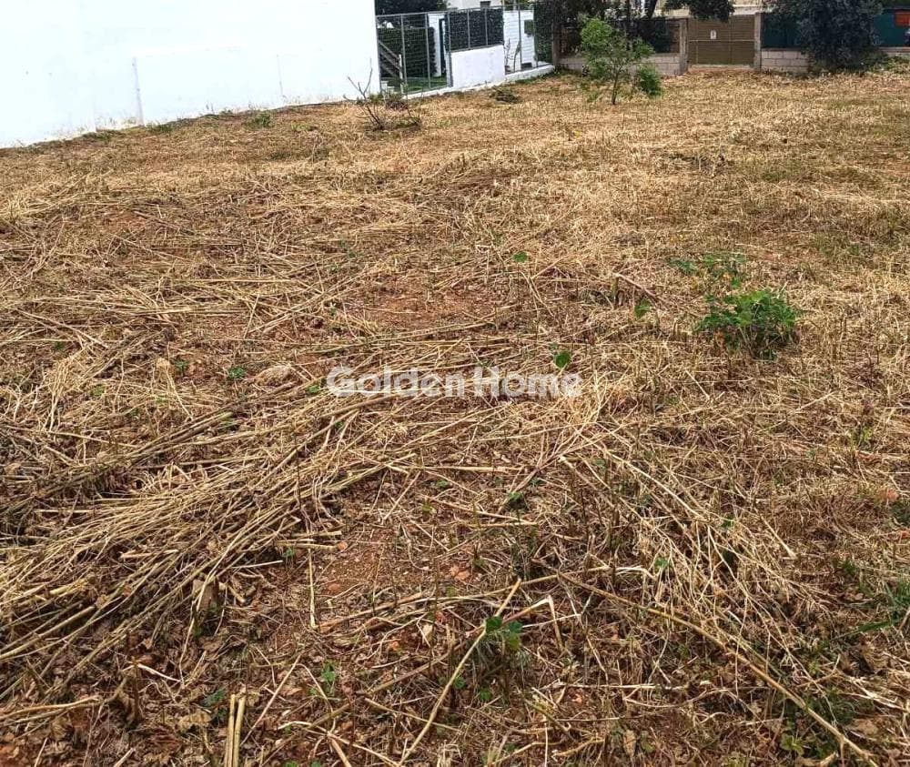 Building Plot in Kakia Thalassa, Keratea — Photo 4 of 4
