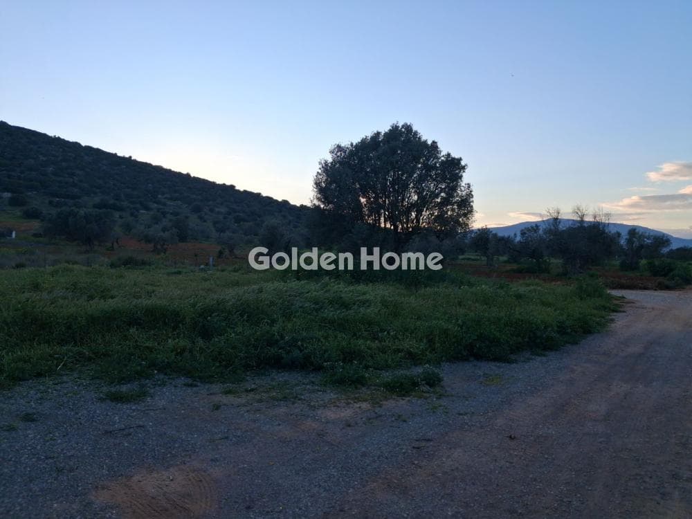 Building Plot in Center, Markopoulo