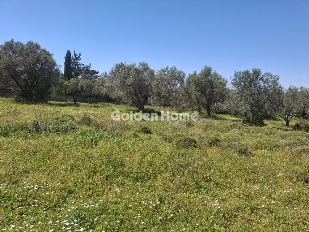 Building Plot in Kefleika, Kalivia Thorikou — Photo 1 of 4