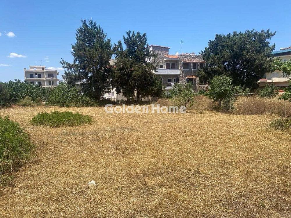 Οικόπεδο στην Αγία Παρασκευή, Σαλαμίνα — Φωτογραφία 1 από 4