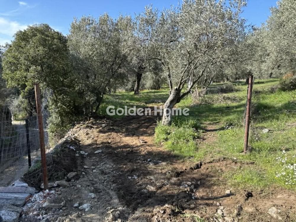 Μονοκατοικία στην Κέντρο, Μηλιές — Φωτογραφία 10 από 15