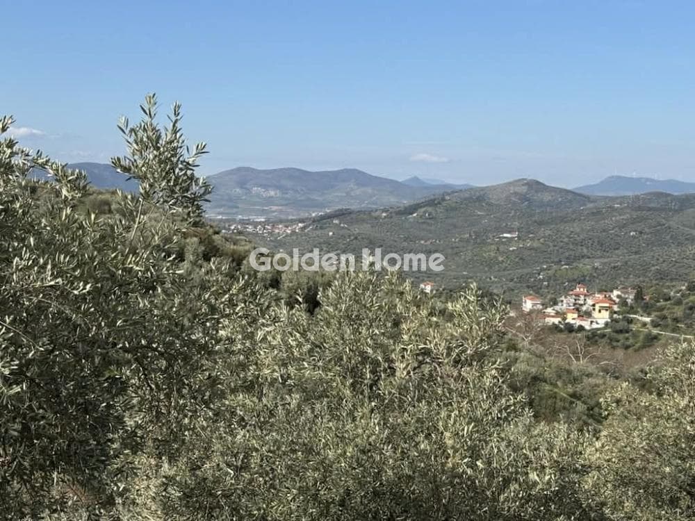 Μονοκατοικία στην Κέντρο, Μηλιές — Φωτογραφία 15 από 15