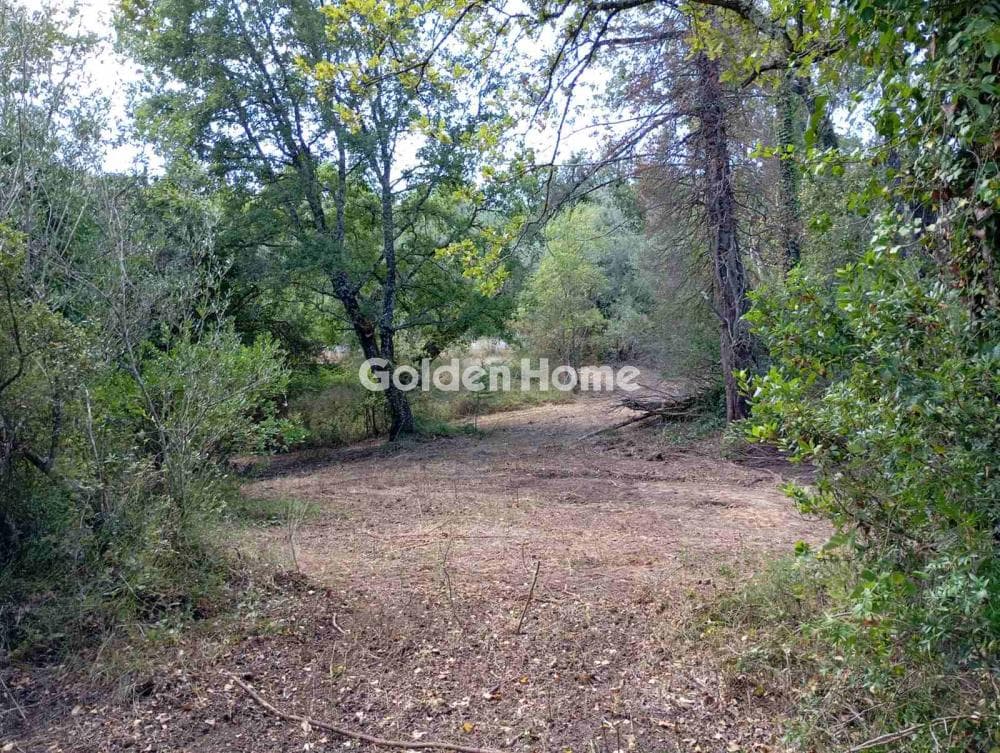 Building Plot in Faiakes, Corfu — Photo 11 of 11