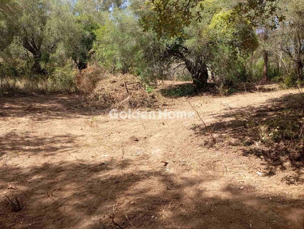 Building Plot in Faiakes, Corfu — Photo 5 of 11