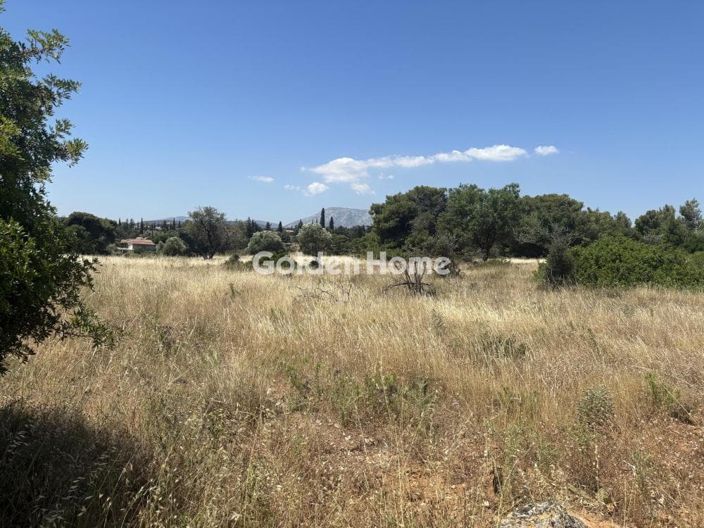 Αγροτεμάχιο στην Διώνη, Πικέρμι — Φωτογραφία 12 από 14