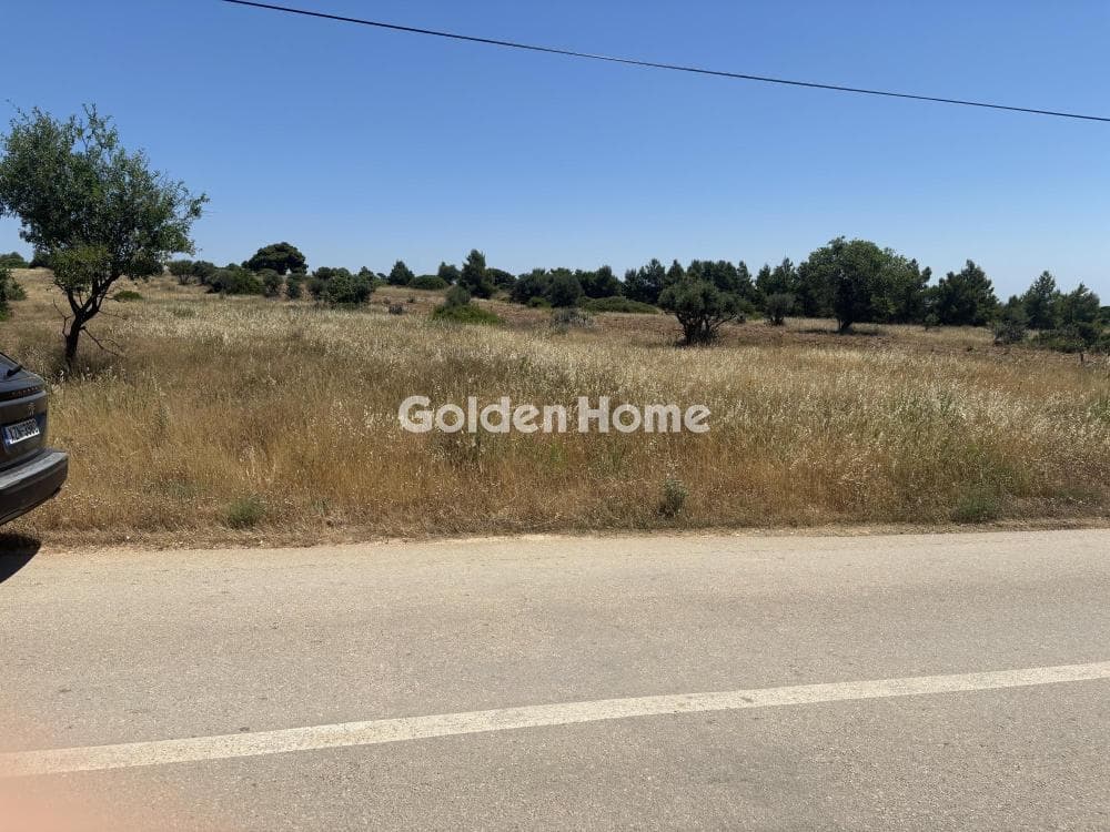 Αγροτεμάχιο στην Διώνη, Πικέρμι — Φωτογραφία 11 από 14
