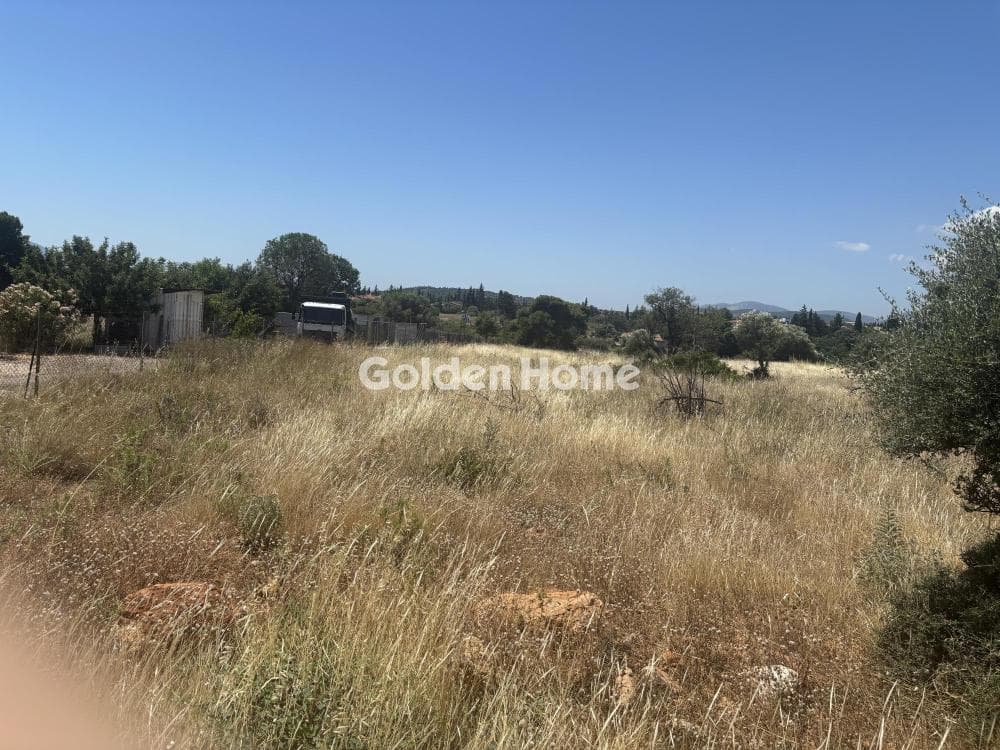 Αγροτεμάχιο στην Διώνη, Πικέρμι — Φωτογραφία 7 από 14