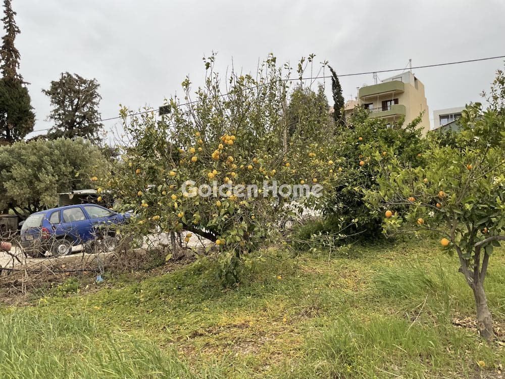 Οικόπεδο στην Κάτω Καλέσια, Τέμενος — Φωτογραφία 9 από 13